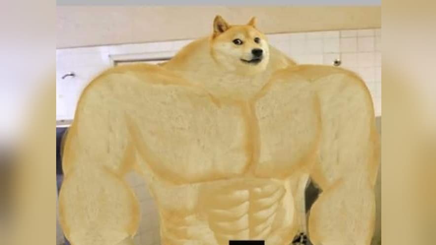 Swole Doge meme template - Swole Doge