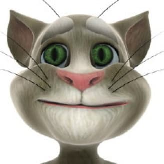 Talking Tom and Friends meme template - Talking Tom
