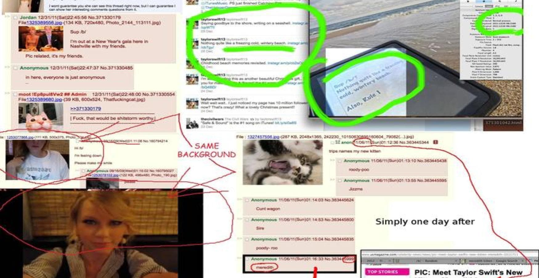 Taylor Swift Is a 4chan User Conspiracy Theory meme template - Taylor Swift 4chan Conspiracy