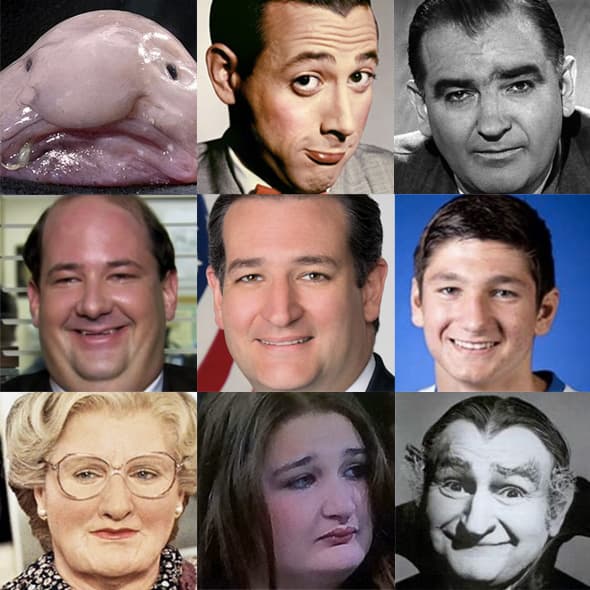 Ted Cruz Looks Like meme template - Ted Cruz Looks Like