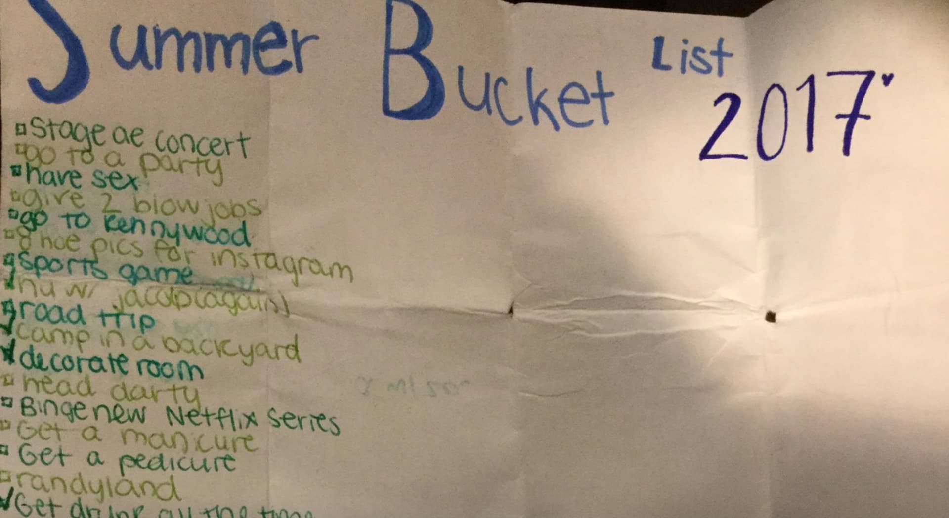 Teen's Summer 2017 Bucket List meme template - Teen's Summer 2017 Bucket List