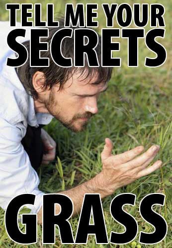 Tell Me Your Secrets, Grass meme template - Tell Me Your Secrets Grass