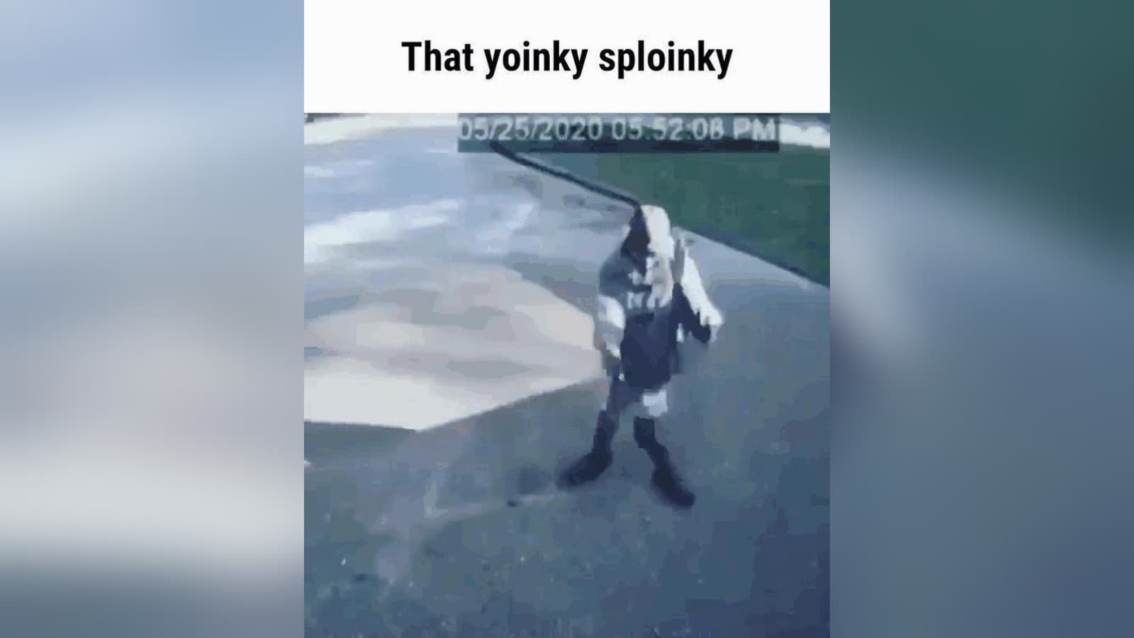 That Yoinky Sploinky meme template - That Yoinky Sploinky