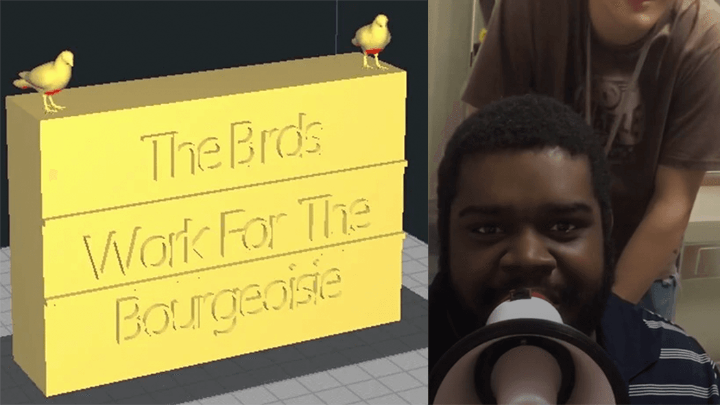 The Birds Work for the Bourgeoisie meme template - Birds Work for the Bourgeoisie