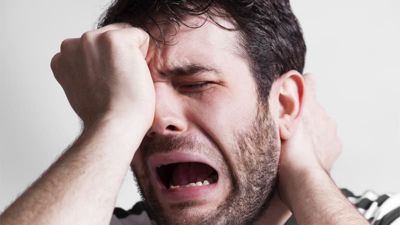 The Clitoris Has 8,000 Nerve Endings meme template - Clitoris Nerve Endings