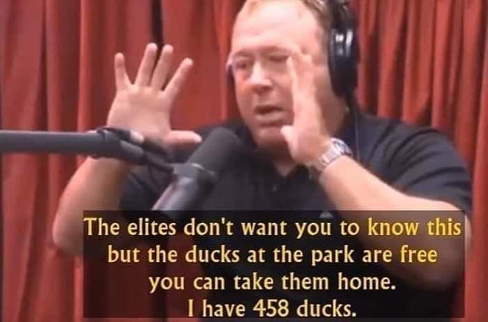 The Ducks at the Park are Free meme template - The Ducks at the Park are Free