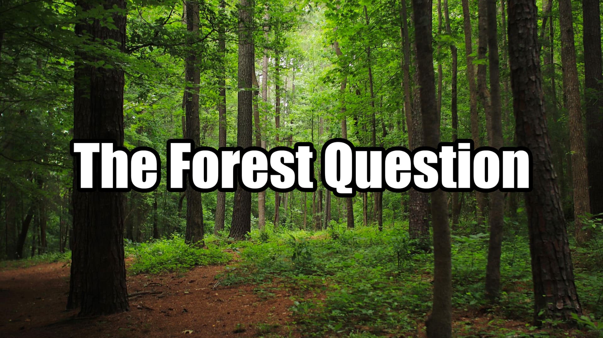 The Forest Question meme template - The Forest Question