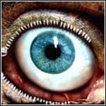 The Holders meme template - The Holders