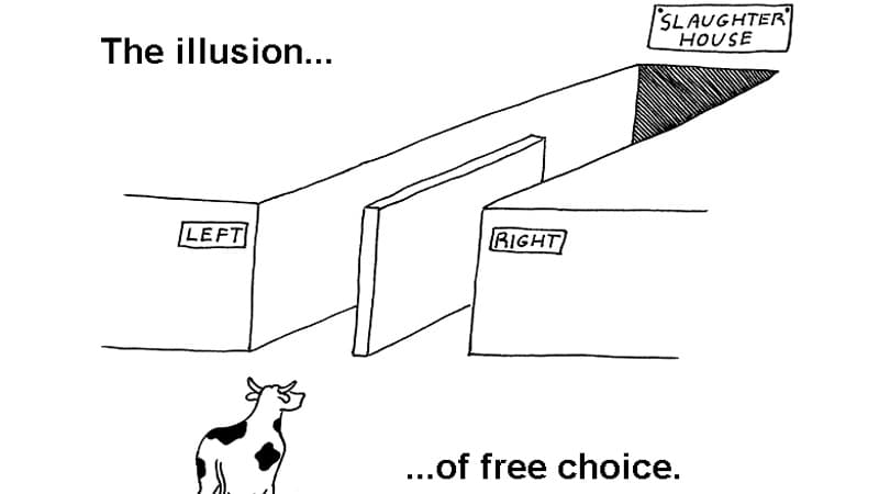 The Illusion of Free Choice meme template - Illusion of Free Choice