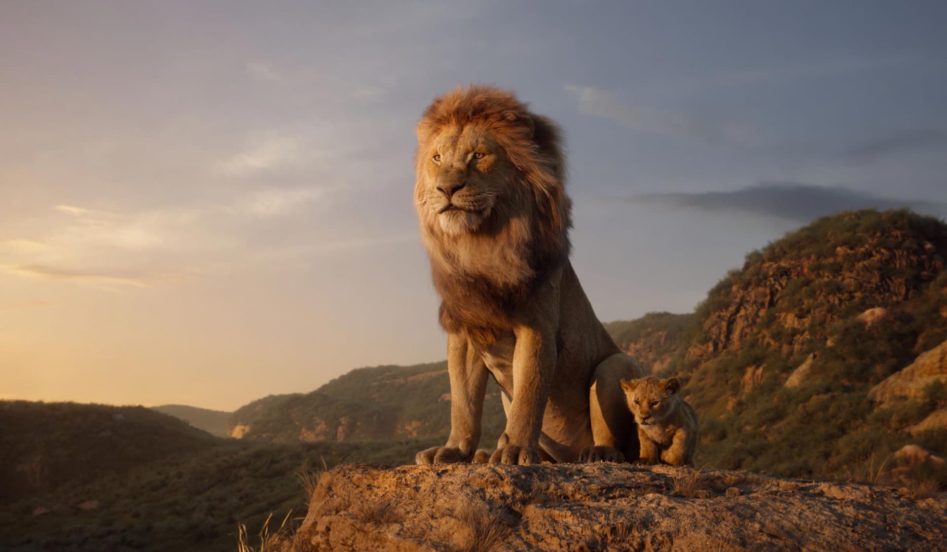 The Lion King (2019 Film) meme template - Lion King 2019