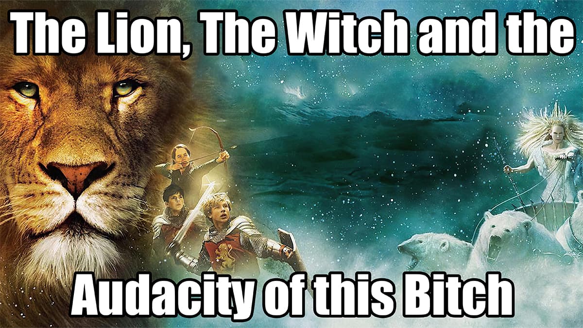 The Lion, The Witch, And The Audacity Of This Bitch meme template - The Lion The Witch Audacity