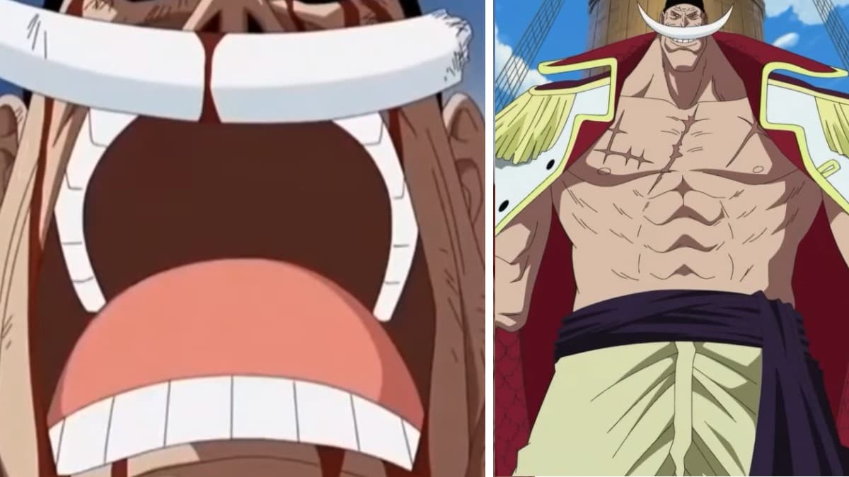 The One Piece Is Real meme template - The One Piece Is Real