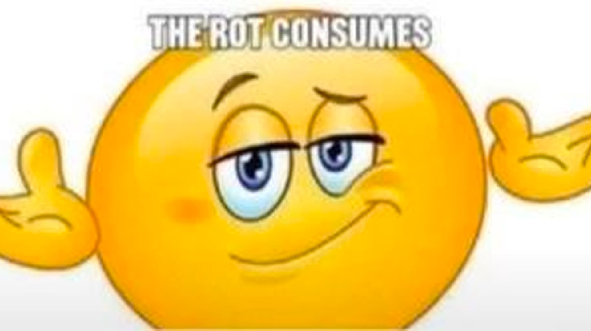 The Rot Consumes meme template - The Rot Consumes
