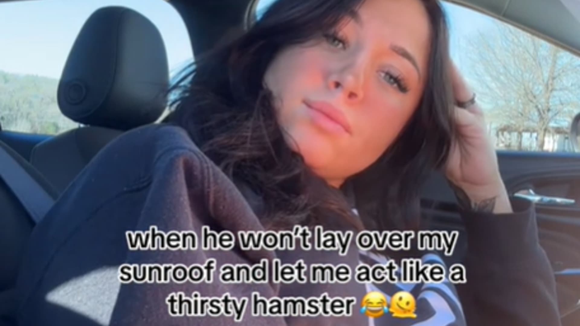 The Thirsty Hamster Sunroof Thing / Hamstering meme template - Thirsty Hamster