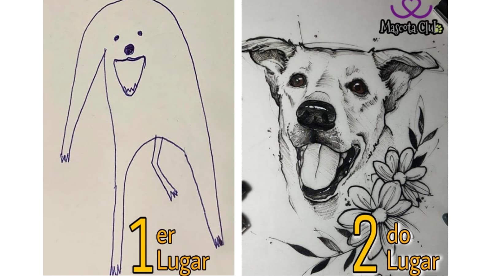 The Winner of This Contest Was Chosen Through Likes meme template - Winner Chosen Through Likes