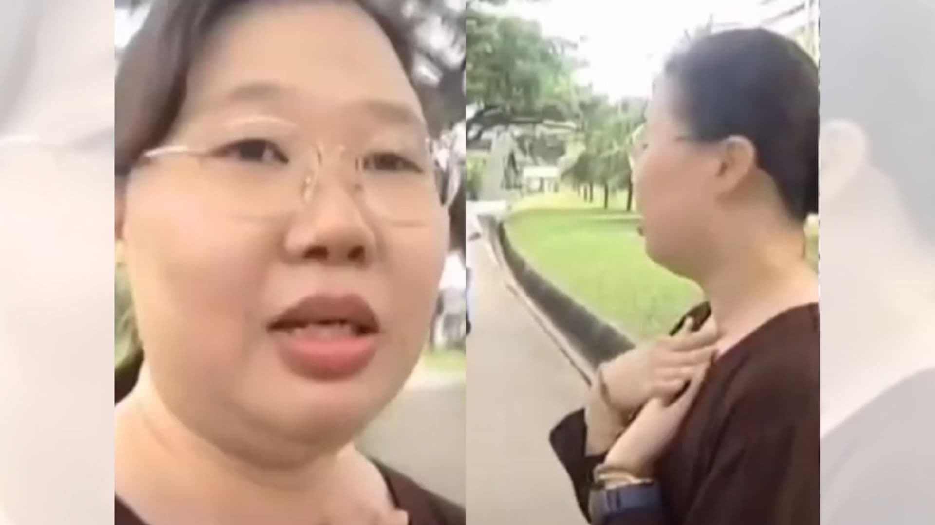 The Woman Was Too Stunned To Speak meme template - The Woman Was Too Stunned To Speak