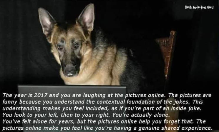 The Year Is 2016 And You Are Laughing At The Pictures Online meme template - The Year Is 2016