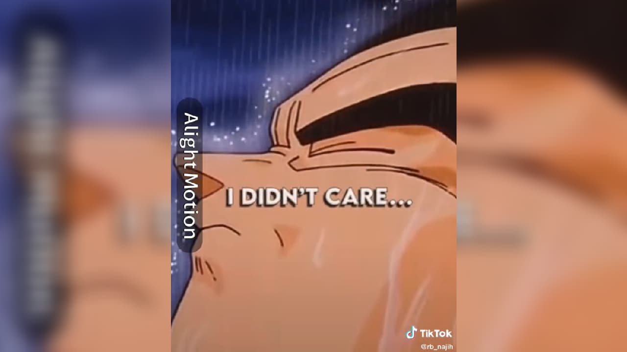 Then Something Just Snapped / Prince Vegeta TikTok Trend meme template - Then Something Just Snapped