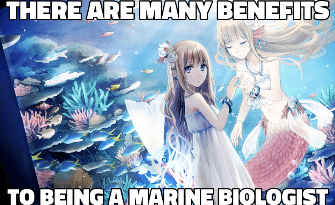 There Are Many Benefits To Being A Marine Biologist meme template - Marine Biologist