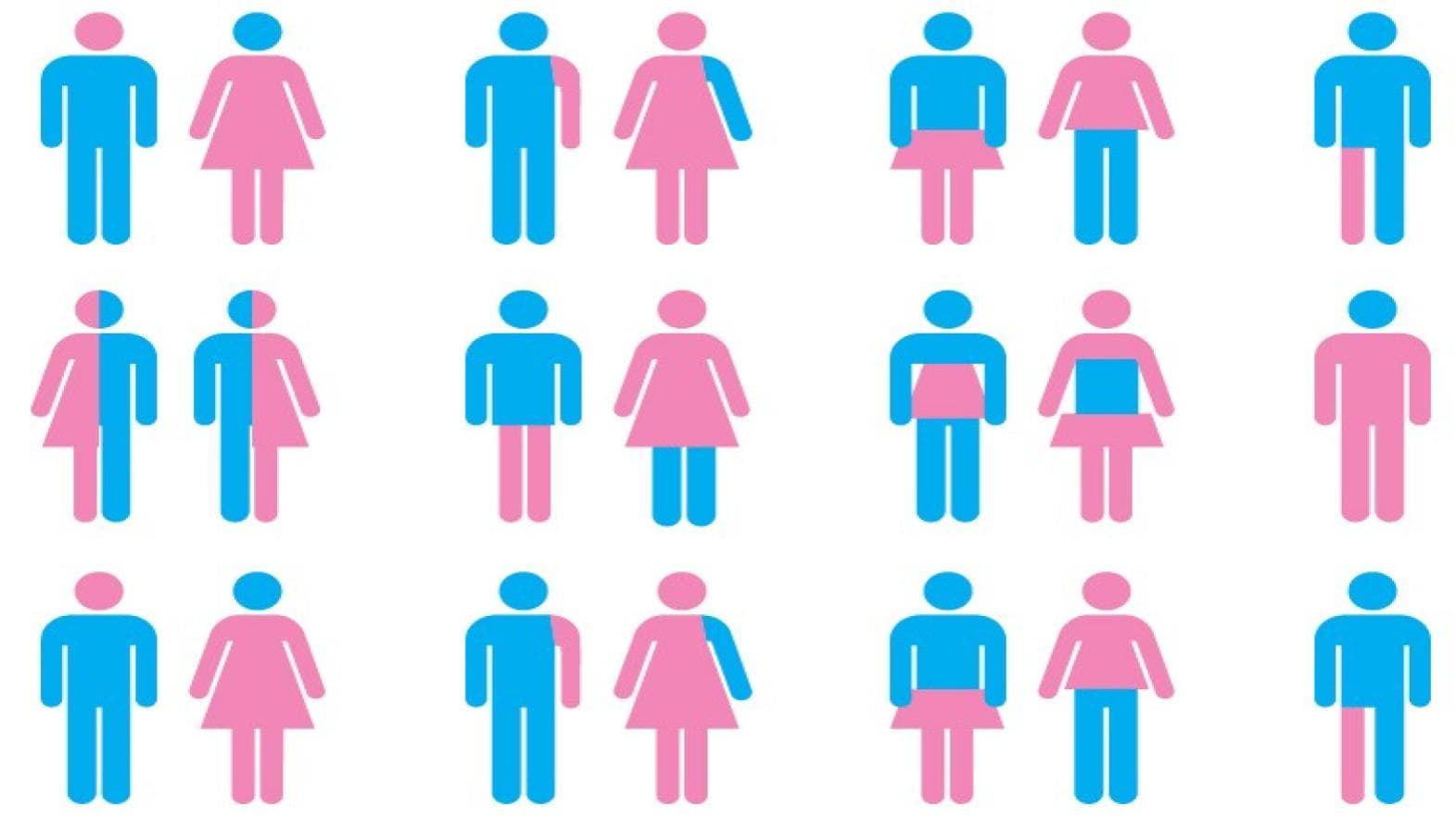 There Are More Than Two Genders Infographic meme template - There Are More Than Two Genders