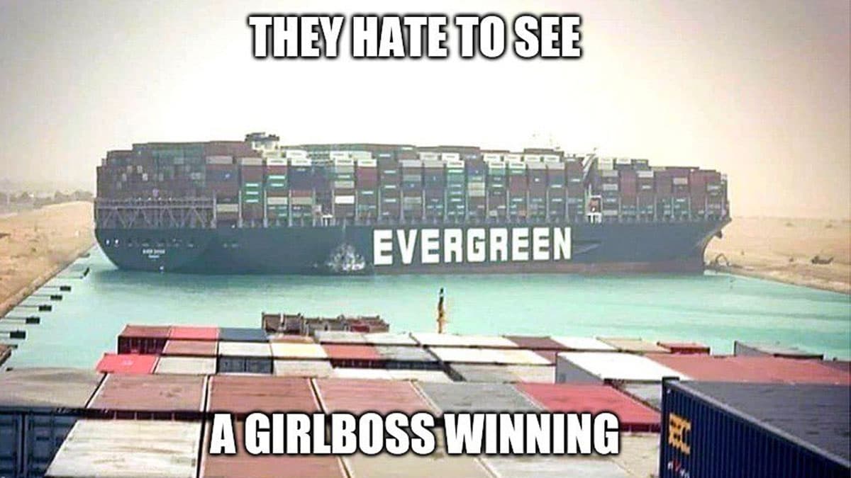 They Hate to See a Girlboss Winning meme template - They Hate To See A Girlboss Winning