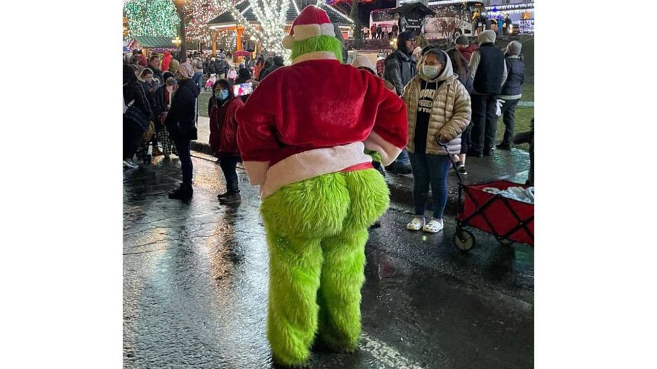 Thicc Grinch meme template - Thicc Grinch