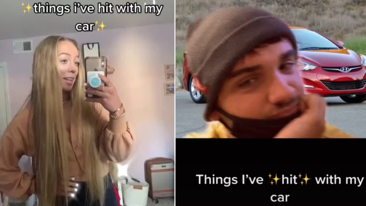 Things I've Hit With My Car meme template - Things I've Hit With My Car