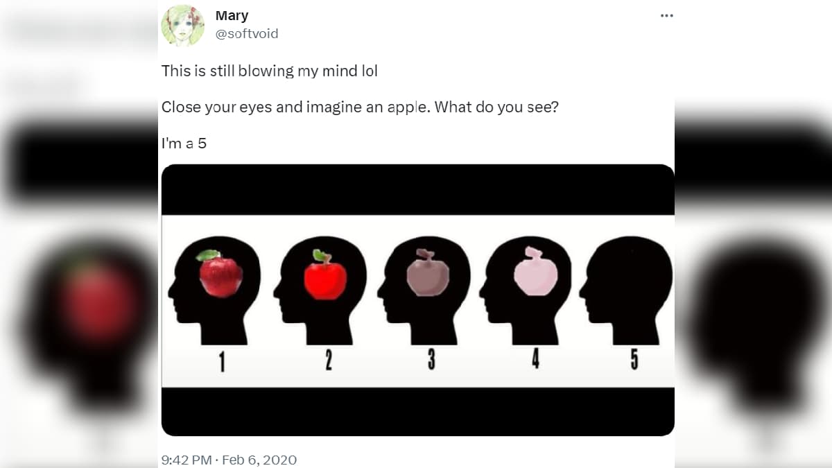 Think of an Apple In Your Head / Apple Visualization Exercise meme template - Apple Visualization