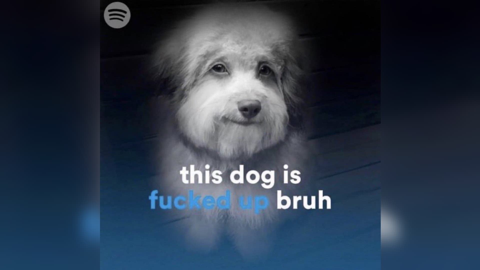 This Dog Is Fucked Up Bruh meme template - This Dog Is Fucked Up Bruh
