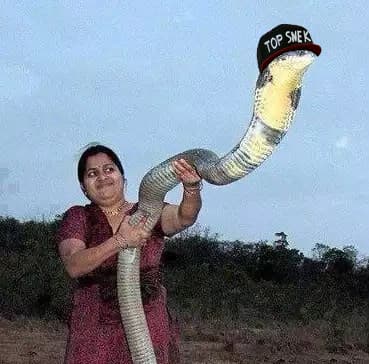 This Is Snek meme template - This Is Snek