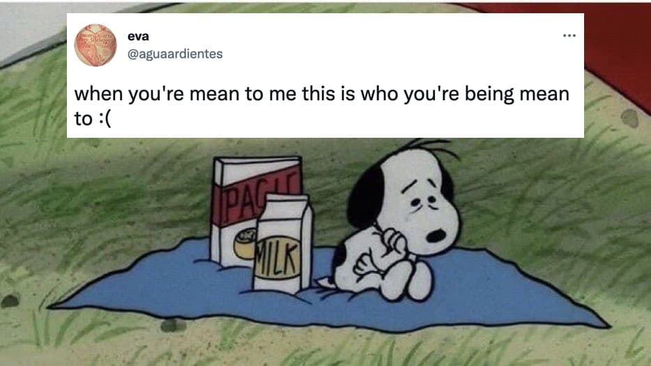 This Is Who You're Being Mean To meme template - This Is Who You're Being Mean To