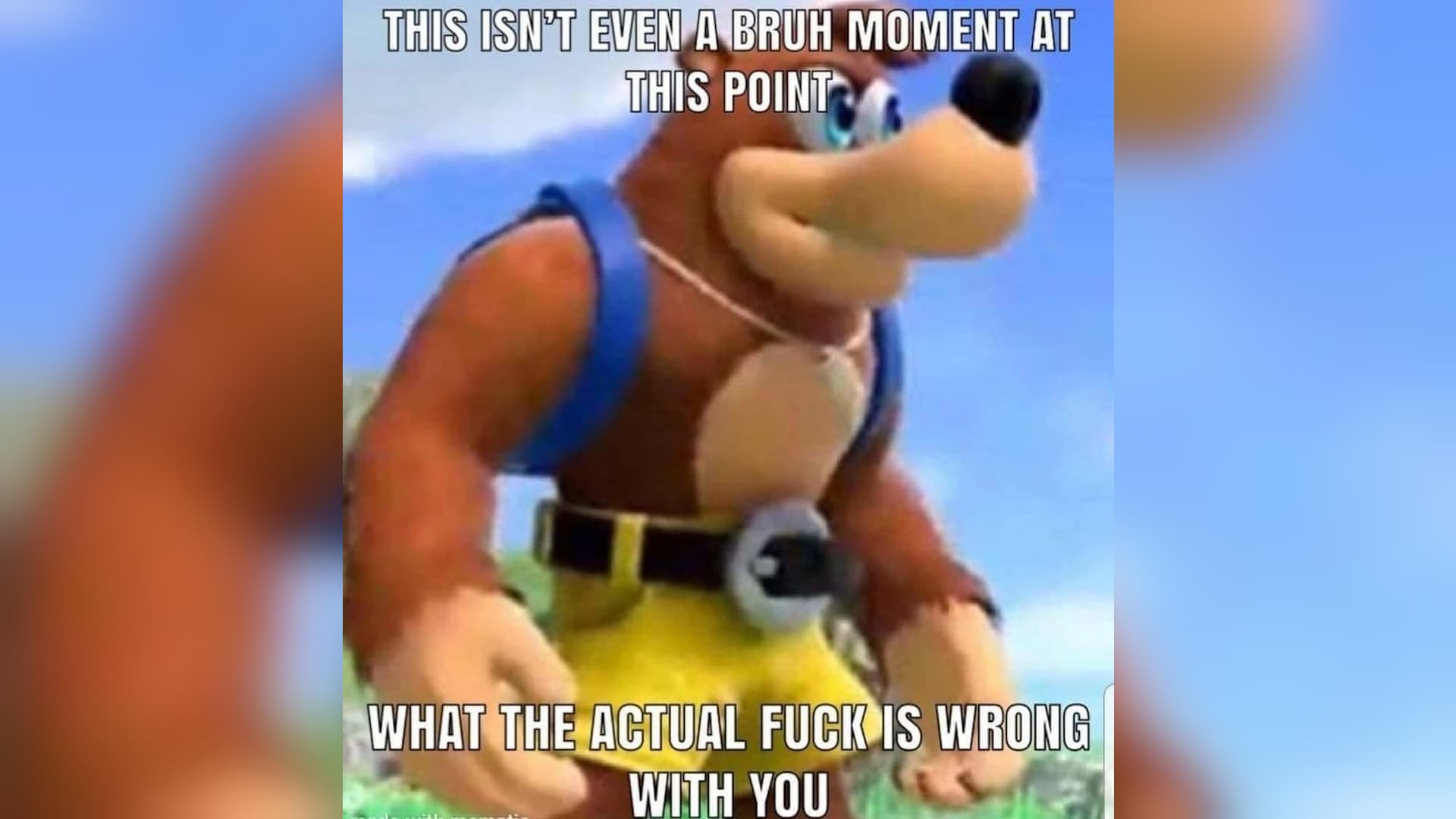 This Isn't Even a Bruh Moment at This Point, What the Actual Fuck Is Wrong With ... meme template - This Isn't Even a Bruh Moment