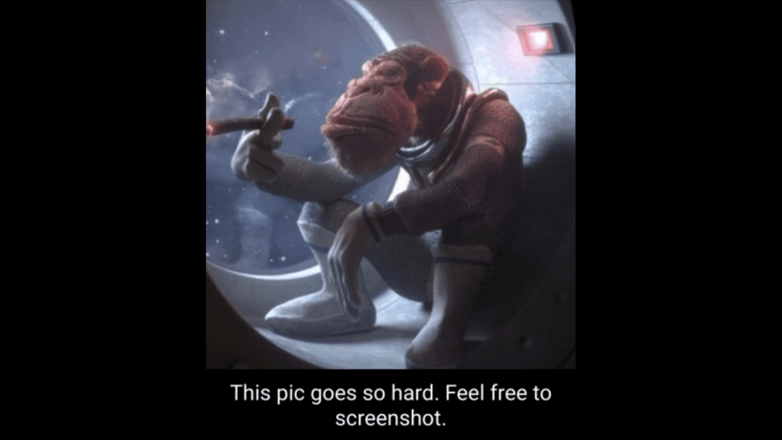 This Pic Goes So Hard, Feel Free To Screenshot meme template - This Pic Goes So Hard