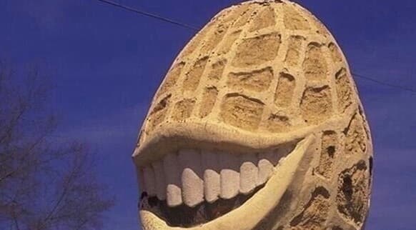 This Pleases the Nut meme template - This Pleases the Nut