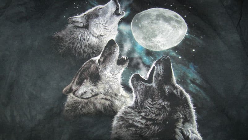Three Wolf Moon meme template - Three Wolf Moon