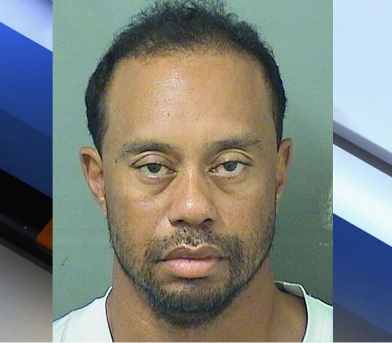 Tiger Woods' Mugshot meme template - Tiger Woods Mugshot