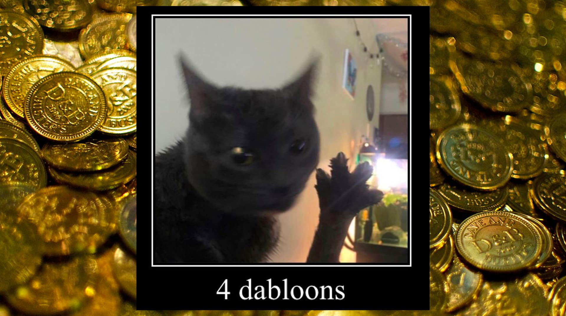 TikTok Dabloons / TikTok Doubloons / 4 Dabloons Cat meme template - TikTok Dabloons