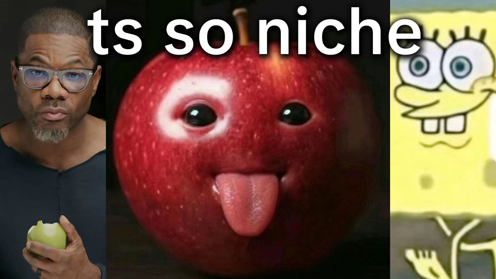 TikTok Niche Community / NicheTok meme template - NicheTok