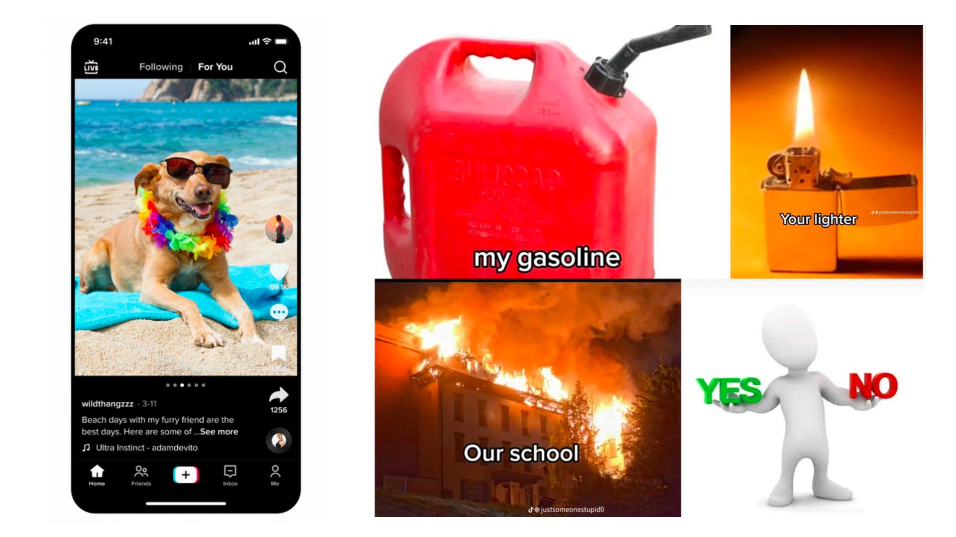 TikTok Photo Slideshows / Photo Mode meme template - TikTok Photo Slideshow