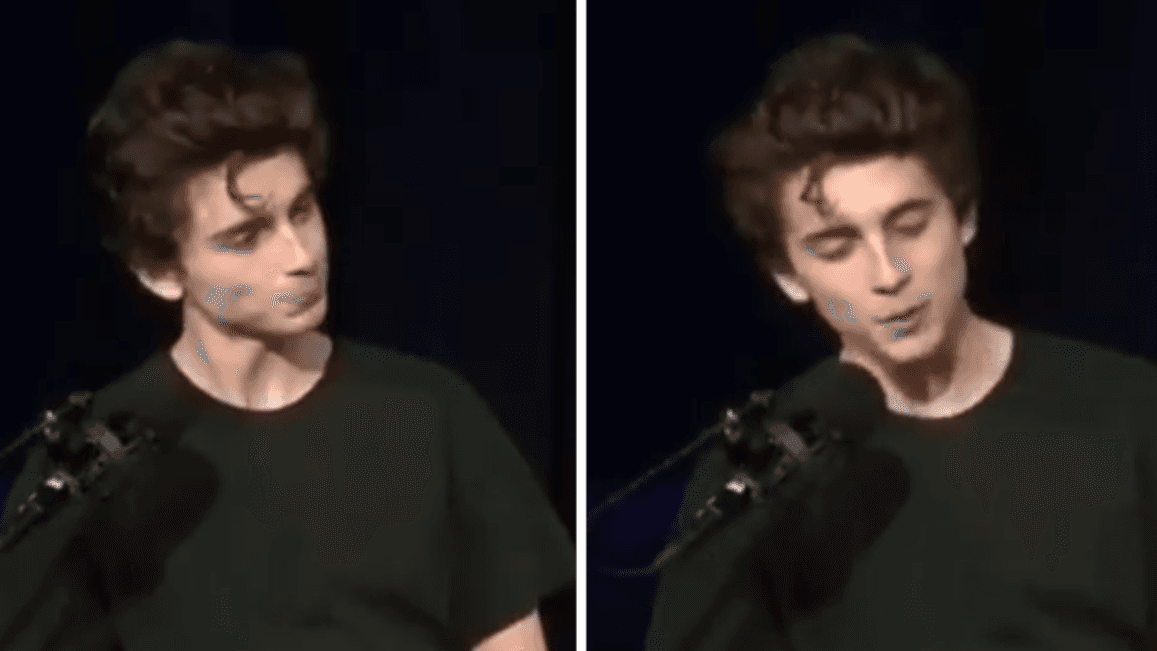 Timothée Chalamet's Homophobic Slur Controversy meme template - Timothée Chalamet