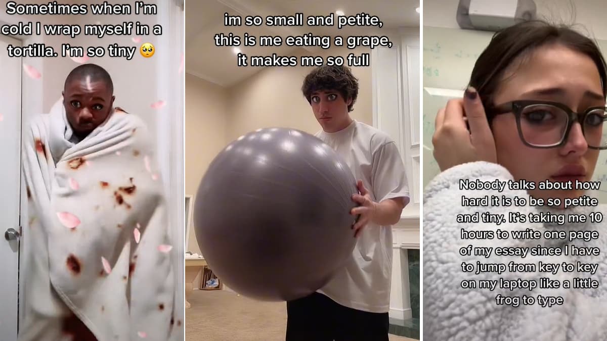 Tiny TikTok / I'm So Small and Petite meme template - Tiny TikTok