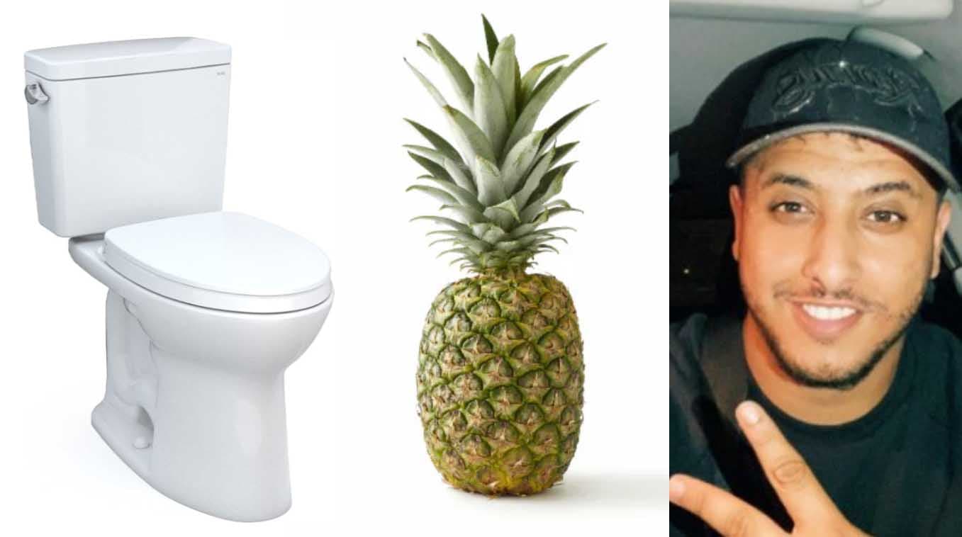 Toilettes Ananas Nasdas meme template - Toilettes Ananas Nasdas