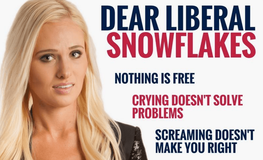 Tomi Lahren's "Dear Liberal Snowflakes" Picture meme template - Tomi Lahren