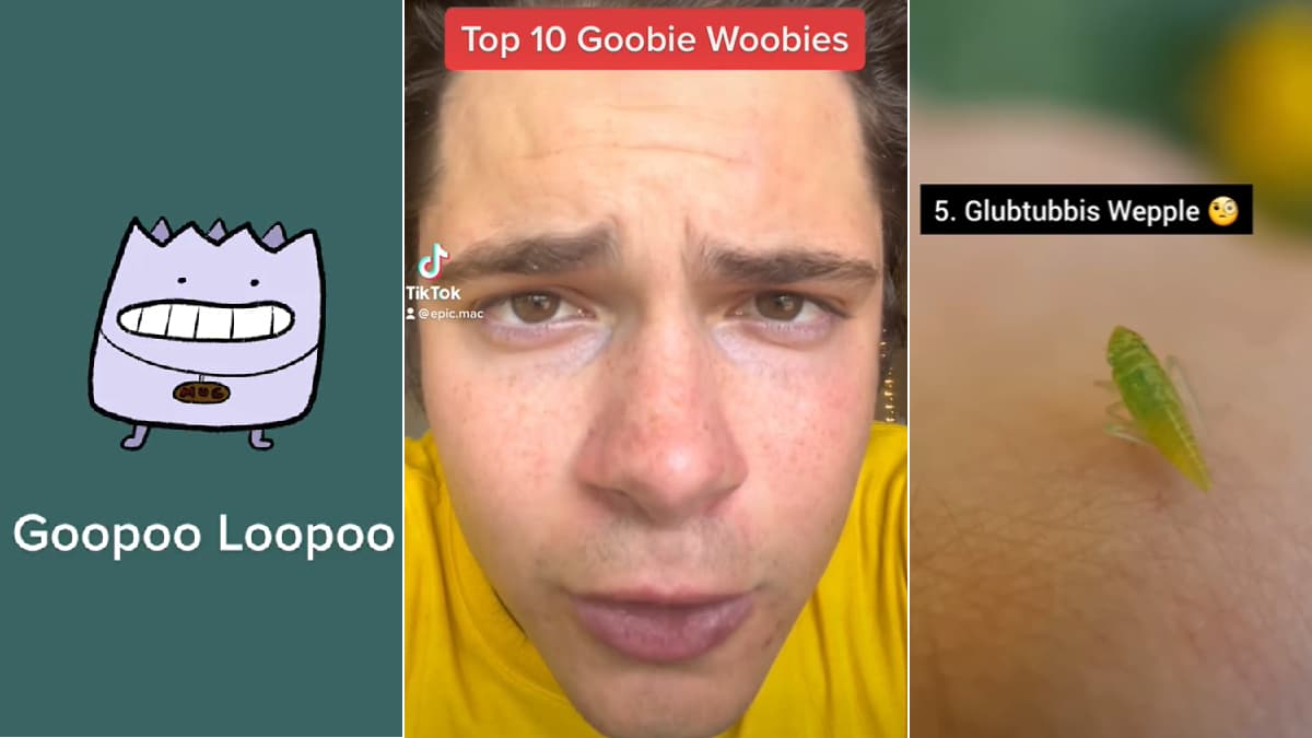 Top 10 Goobie Woobies meme template - Top 10 Goobie Woobies