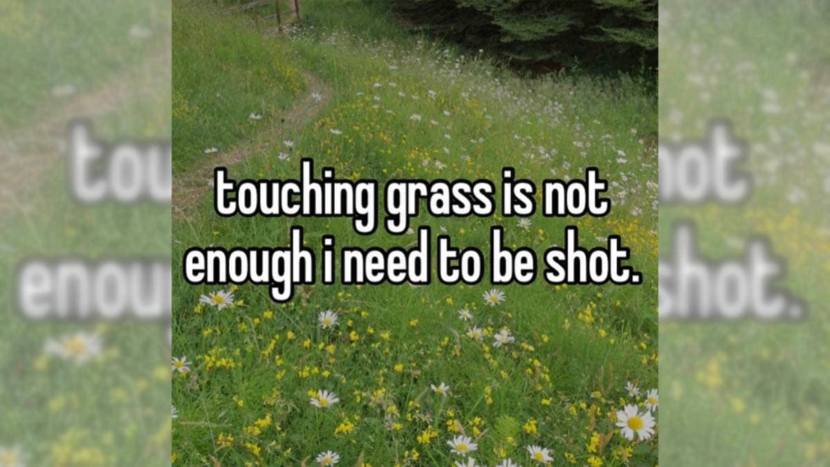 Touching Grass Is Not Enough meme template - Touching Grass Is Not Enough