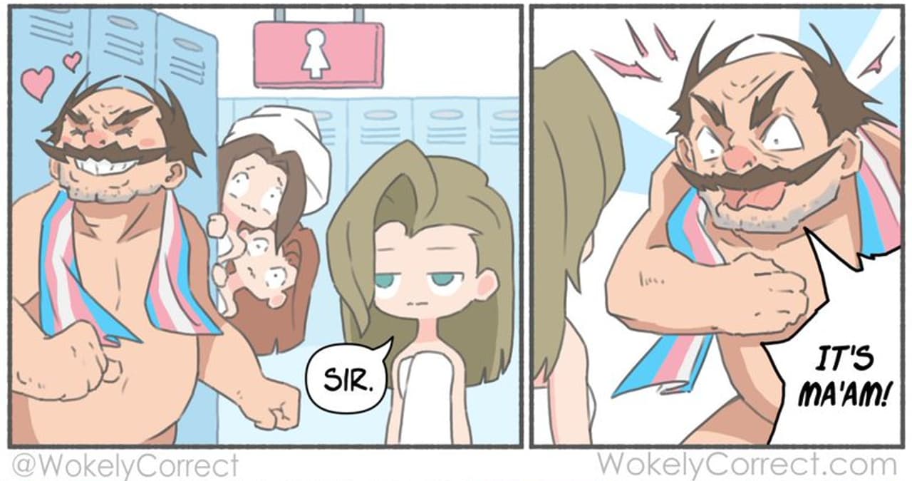 Trans Wario Comic by WokelyCorrect meme template - Trans Wario