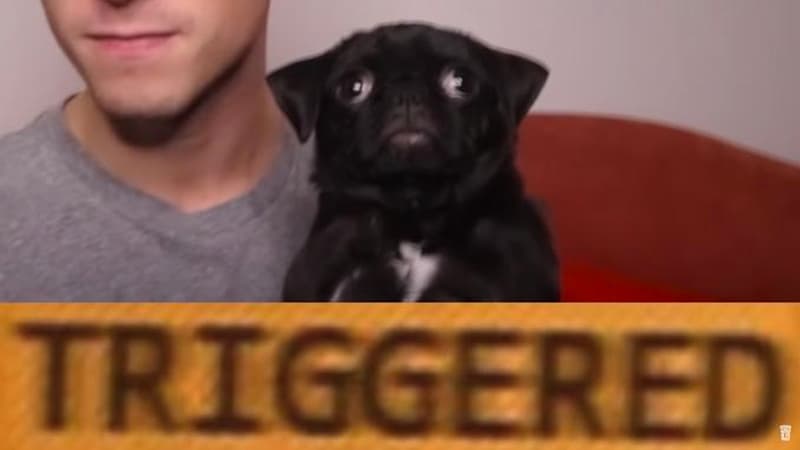 Trigger / Triggered (Slang) meme template - Triggered