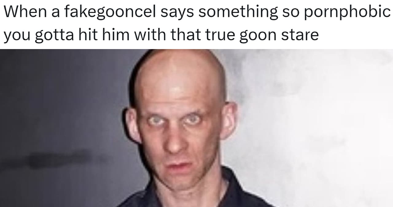 True Goon Stare / When A Fakegooncel Says Something Pornophobic meme template - True Goon Stare