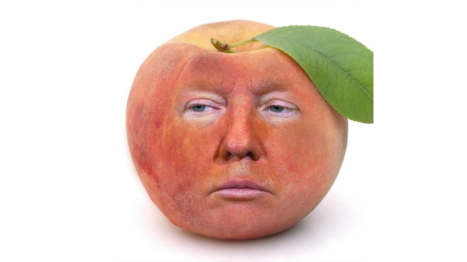 Trump in Peach meme template - Trump in Peach