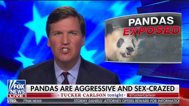 Tucker Carlson's Sex-Crazed Pandas meme template - Tucker Carlson